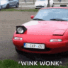 DankScarz