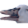 KlausNeger