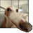 Chulio